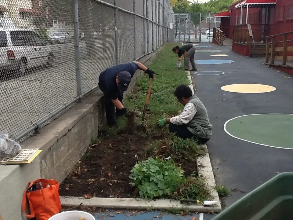 PS 87 Bronx 2nd Grade Garden Install, Curriculum Development & Instruction