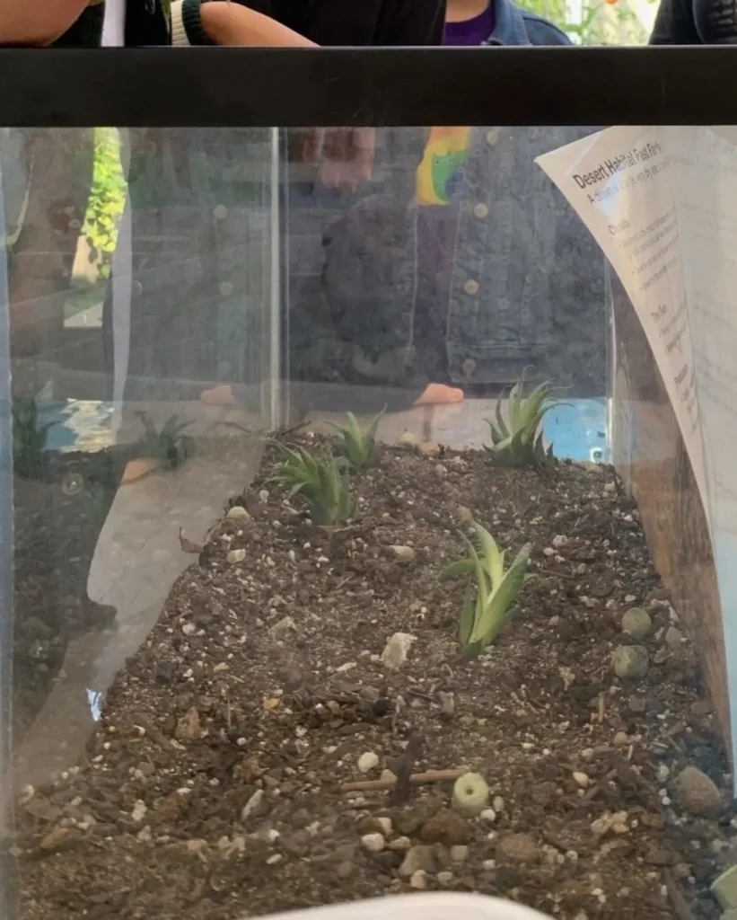 398973921_17861900274038288_1071674850594994416_n