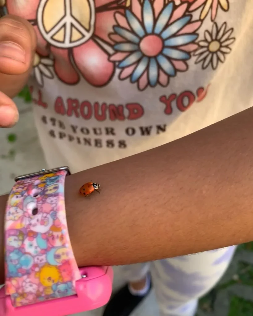 Exploring the Fascinating World of Ladybugs