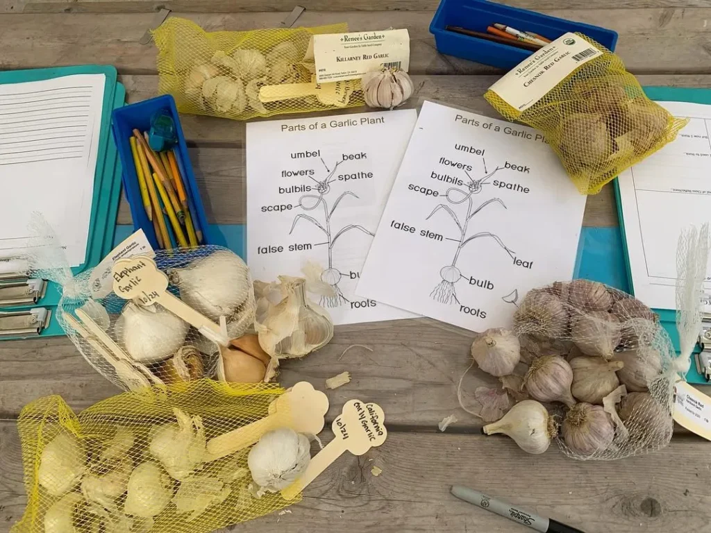 396304660_17861552409038288_2498115231609687586_n