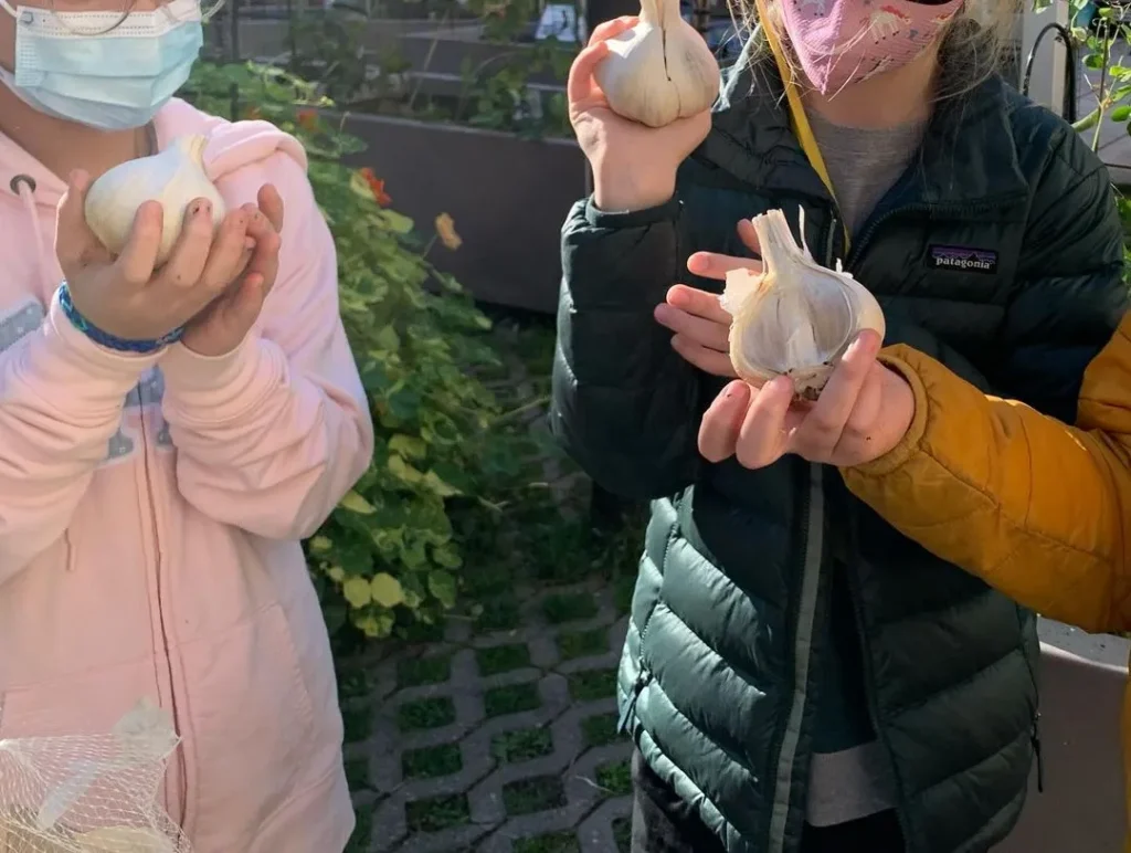 396722495_17861552421038288_4073394315363970222_n