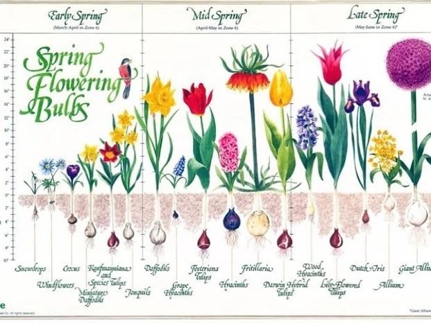 396723553_17861552475038288_2895701169102658311_n