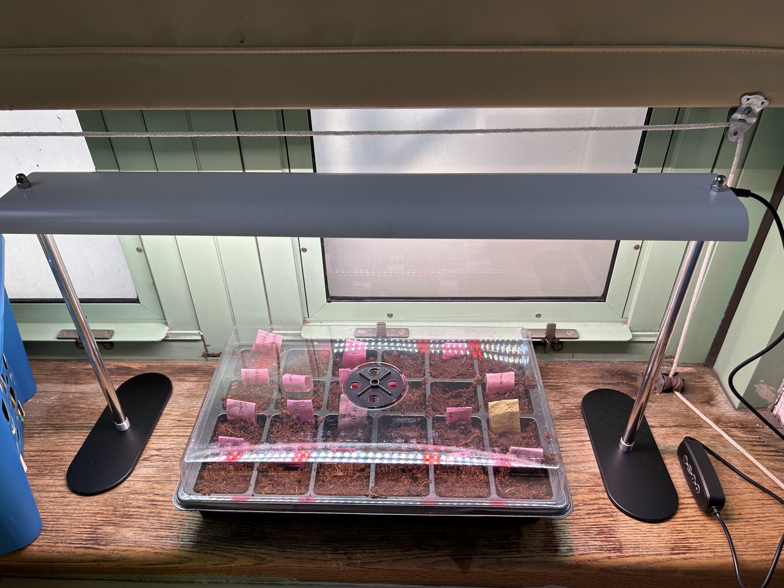 Planting Day - Finished Set-up 2