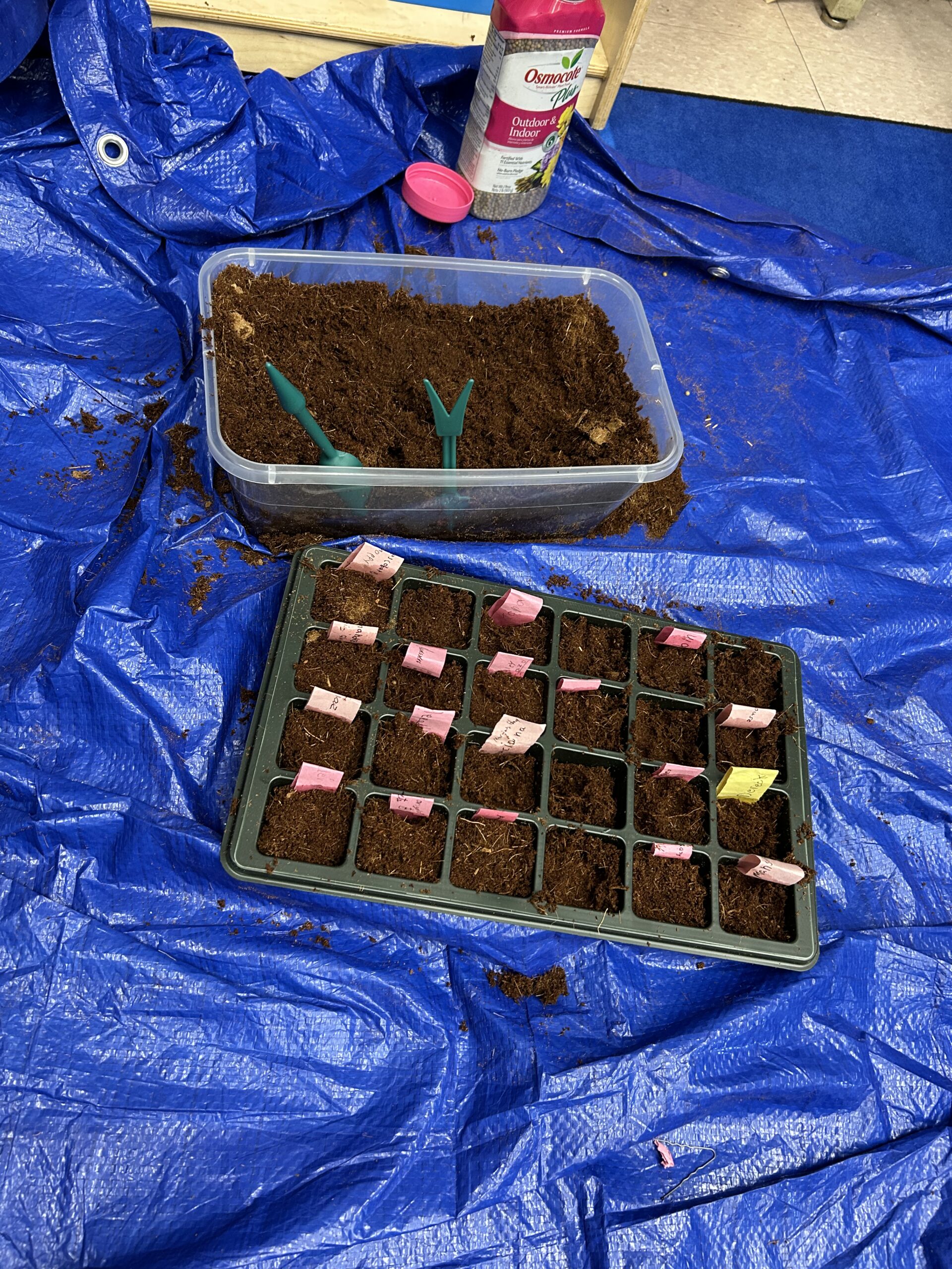 Planting Day - Labels & Potting Finished