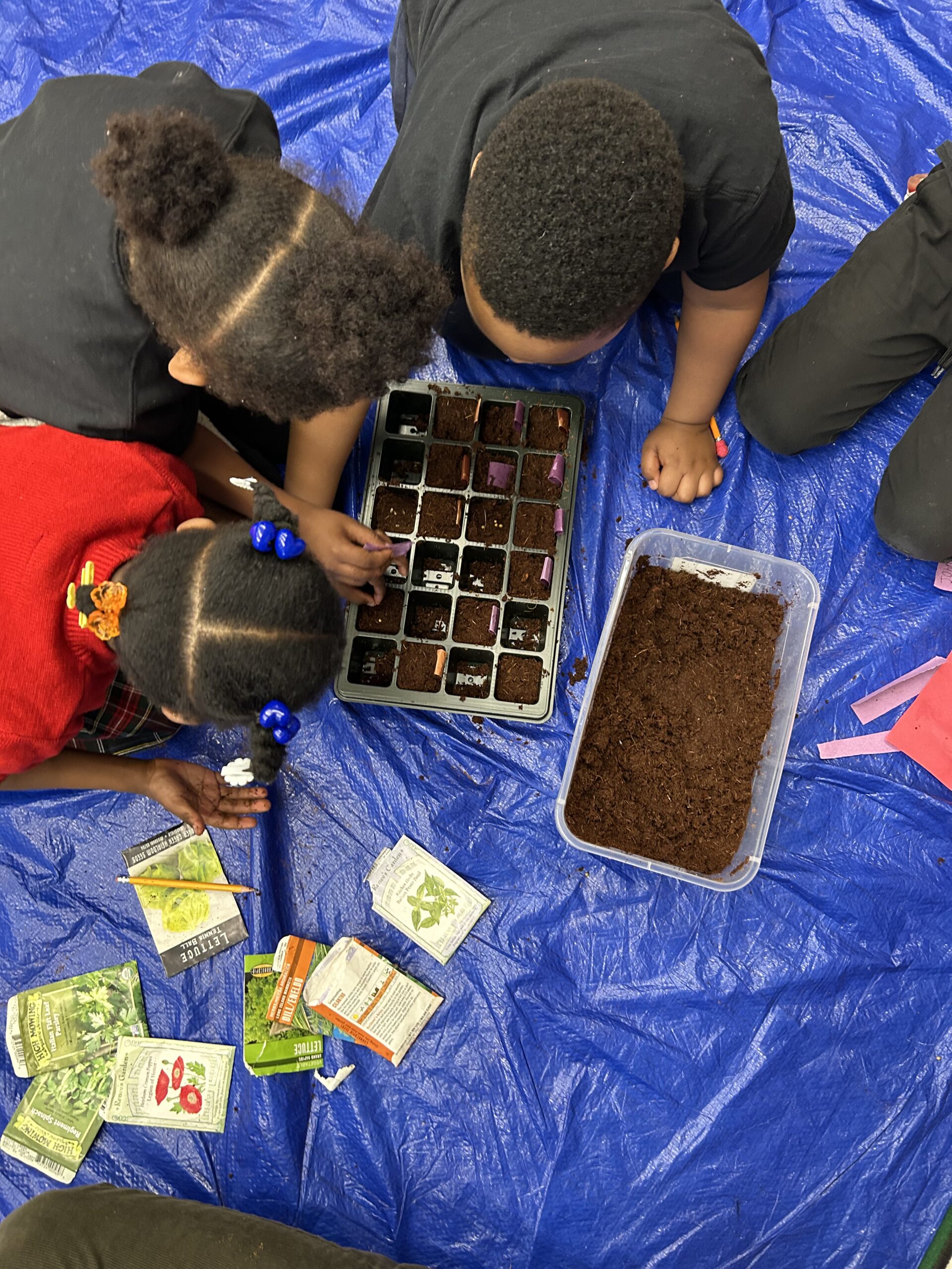 Planting Day - Planting 5