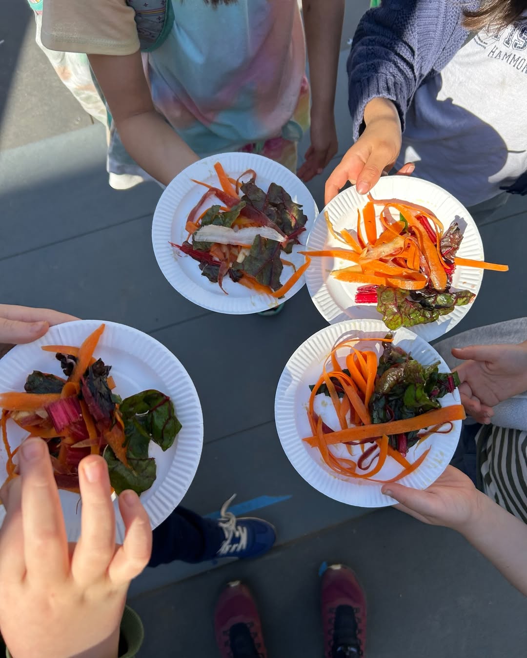 Nourishing Minds and Meals at PS84