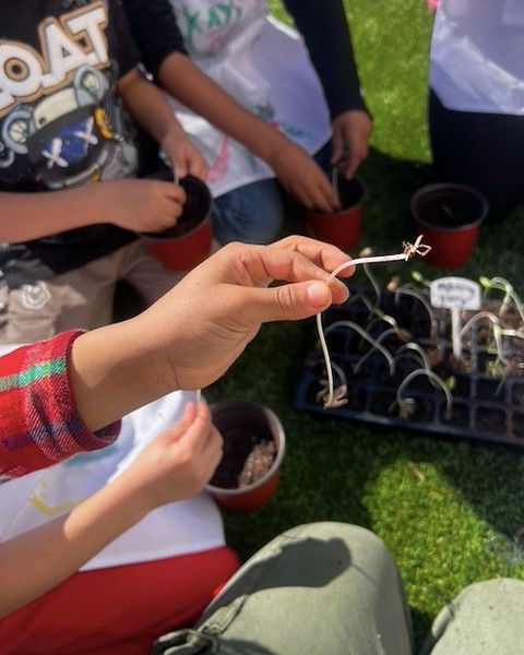 PS 38 Brooklyn Springtime Garden Fun Recap! 🌻✨