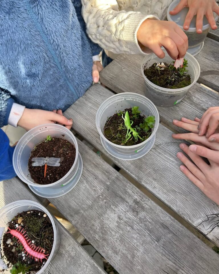 Terrarium Week at the Garden! ✨🌿
