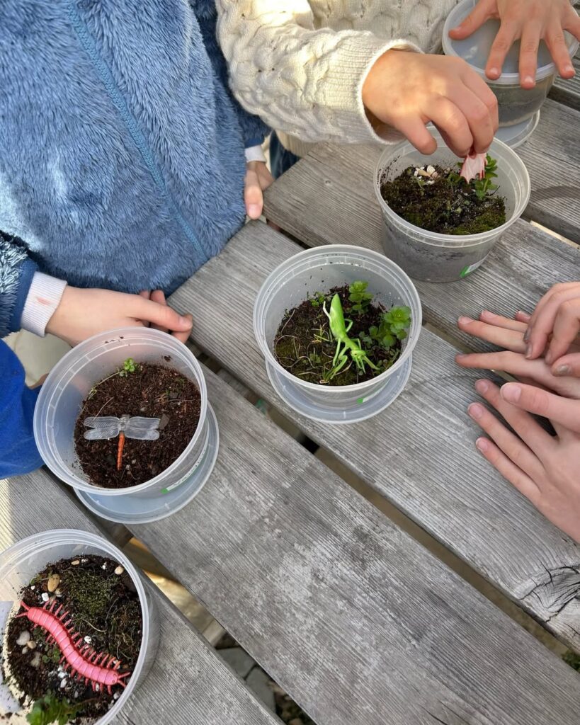 Terrarium Week at the Garden! ✨🌿