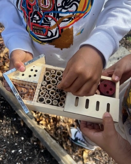 Bug-tastic Garden Day!🐜🕷️